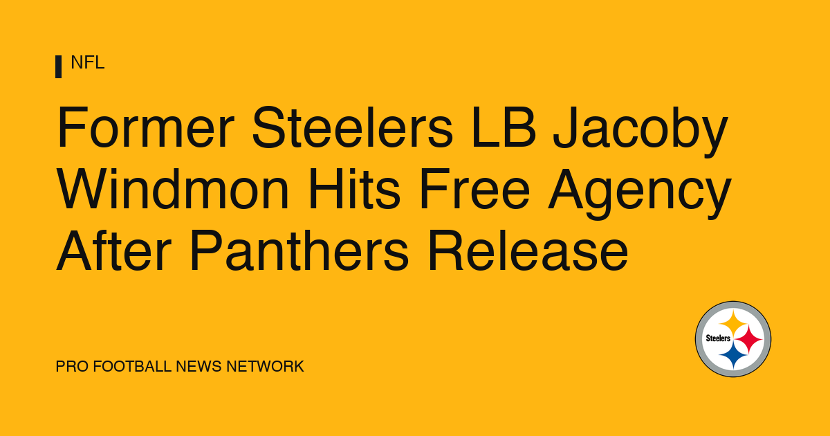 Former Steelers LB Jacoby Windmon Hits Free Agency After Panthers Release